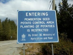 pemberton-potatoes-image