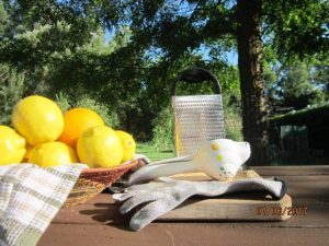 Basic ingredients for Aunt Thale's Lemonade Syrup are pictured here. 