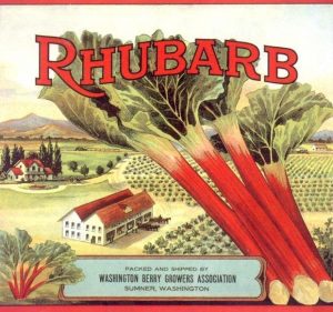 Ad for rhubarb from a now defunct rhubarb company in Washington State