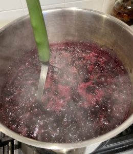 salal berries 15 minutes of simmering