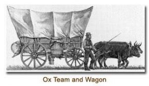Ox team and wagon. Open source image