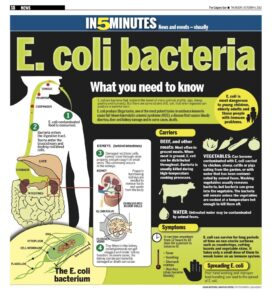 Poster from Calgary re E. coli transmission