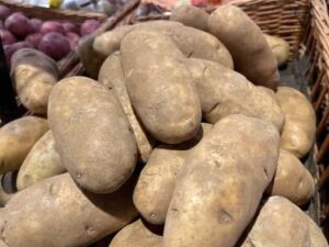 Russet potatoes